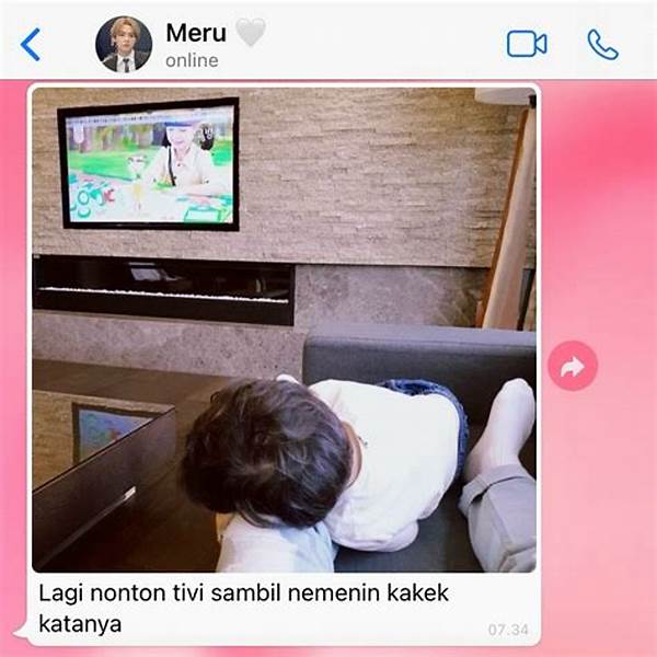 Meru Nonton Online post thumbnail image