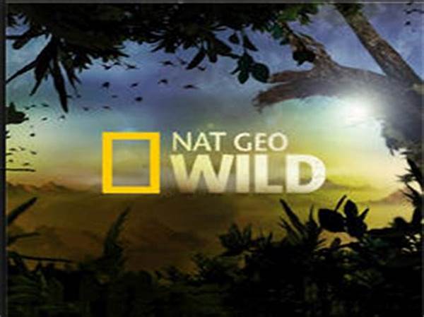 Nonton Tv Online Nat Geo Wild post thumbnail image